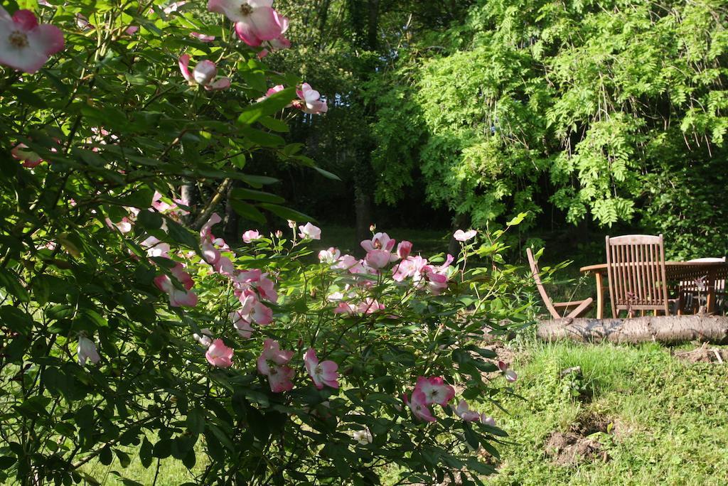 Le Coin Des Artistes Bed and Breakfast Ζιβερνί Εξωτερικό φωτογραφία